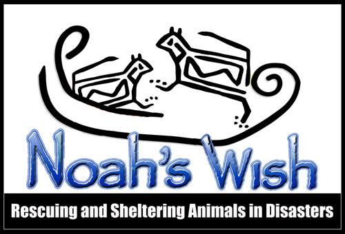Noah's Wish -- A great place to donate!